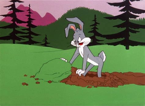 Agr funny bug bunny supreme t shirt agreeable. Pin by Barbara Guttman on Bugs bunny with company ...