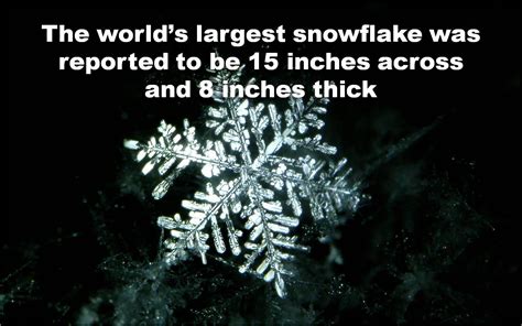 The Worlds Largest Snowflake Was Reported To Be 15 Inches Across And 8