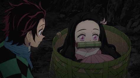 Why Does Nezuko Have A Muzzle Bamboo Over Her Mouth