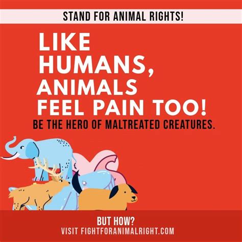 Animal Cruelty Posters