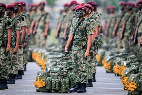 On The Involvement Of The Malaysian Armed Forces Liew Chin Tong