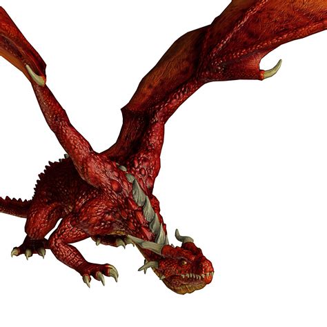 Red Dragon Free Stock Photo Public Domain Pictures
