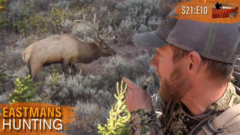 Bow Hunting Public Land Elk Eastmans Hunting Journals Youtube