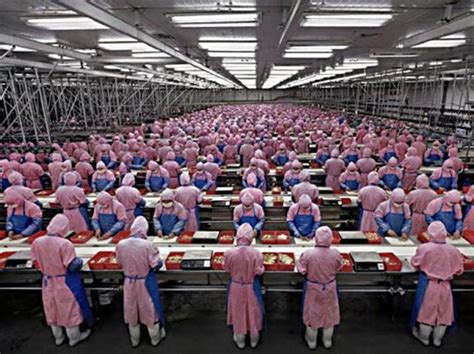 Thoughts Into Foxconn Suicides Iris Gublog