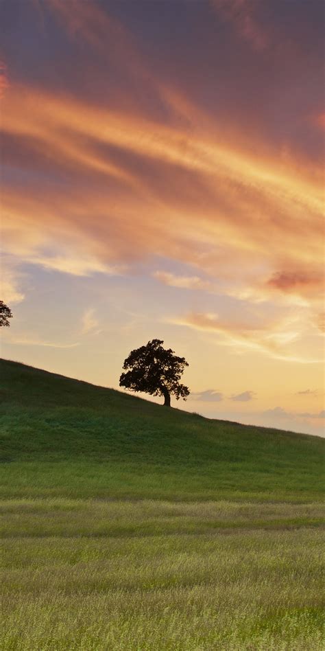Landscape Sunset Wallpaper 1080x2160