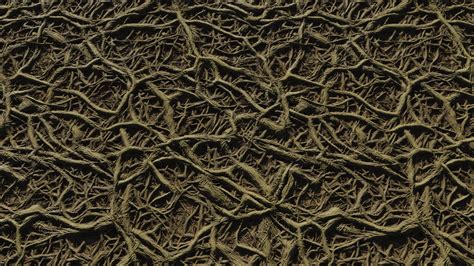 Roots Texture Google Search In Texture Roots Google Search