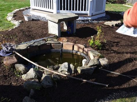 We built a koi pond. This Is How Much A Koi Pond Costs To Build And Maintain