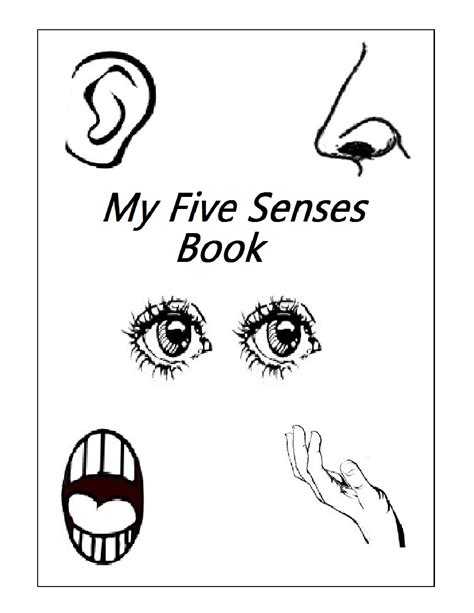 17 Five Senses Activities For Preschool Images Rugby Rumilly