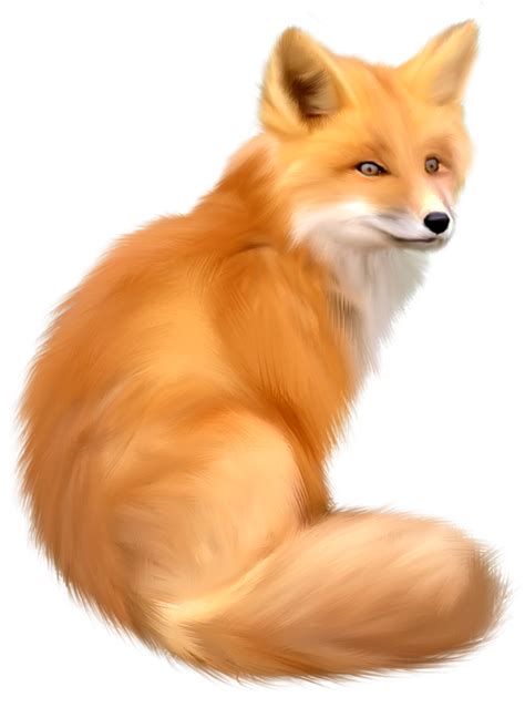 Fox Png Image Free Download Picture
