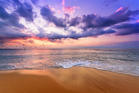 Early Morning Sunrise Over Sea Golden Sands Stock Photo Download