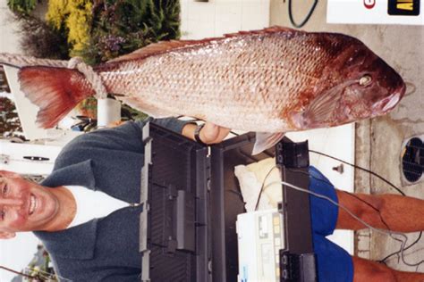 21 Year Anniversary Of 50 Pound Line Class World Record Snapper The