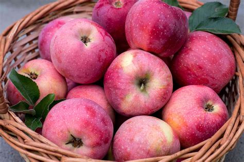 Guide To 18 Apples Varieties