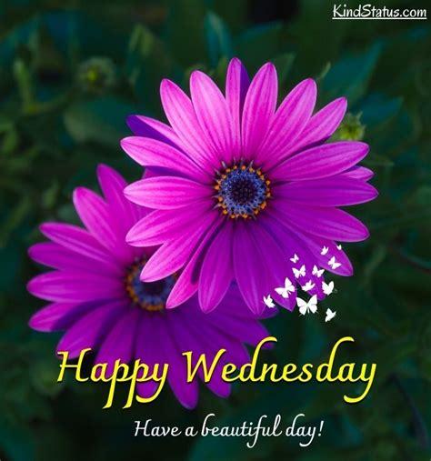 500 Happy Wednesday Images Pictures Photos
