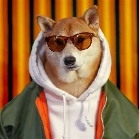 Bringingtheheat Menswear Dog Stylish Dogs Dog Suit