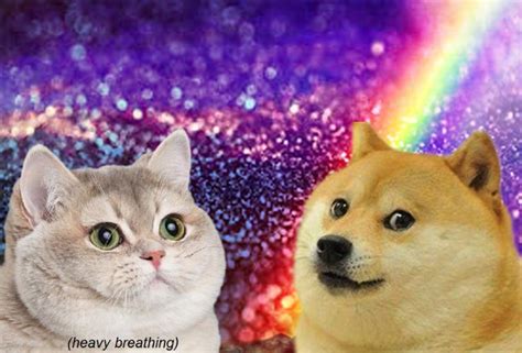 Pin By Annie Sheffield On Much Wow Such Doge Very Shibe Heavy