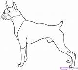 Boxer Coloring Puppy Dog Getcolorings Printable sketch template