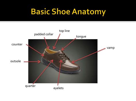 Ppt Basic Shoe Anatomy Powerpoint Presentation Free Download Id