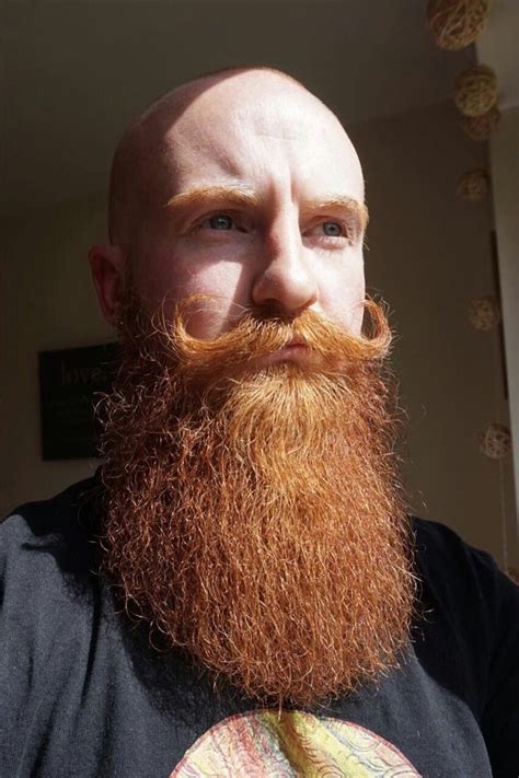 Pin By Eric Vannostrand On Beard Style For Bald Men Ginger Hair Men
