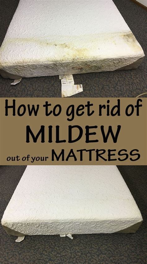 Make sure that none of the spots is left. How to get rid of mildew out of your mattress | Cleaning ...