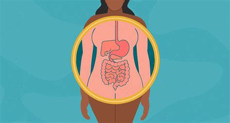 understanding digestive disorders causes symptoms and solutions wellness writer editor