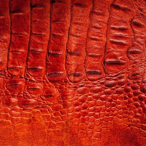 Crocodile Skin Stock Photo Image Of Design Abstract 122920448