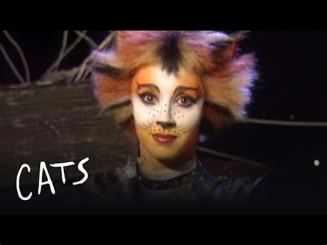 The following sets of images are some very funny pictures taken by cat owners when they found cats sitting and cat sleeping exactly where they shouldn't be. Cats The Musical: Munkustrap, Mungojerrie and Rumpleteazer ...