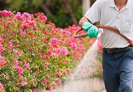 Our website is dedicated to providing diyers with the information you need to do your own pest control. About Our Company | Pest Control Supply Co. | Detroit, MI