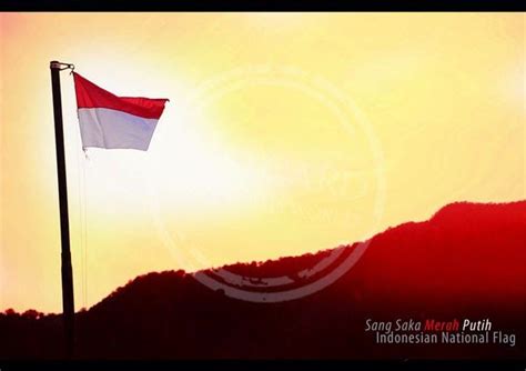 Background merah polos hd koleksi gambar hd sumber koleksigambarhd.blogspot.com. Pin di HD Wallpapers