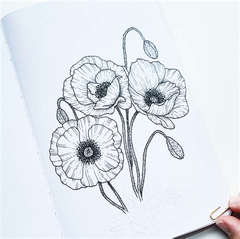 Poppy Flower Tutorial With Mono Drawing Pens Laptrinhx News