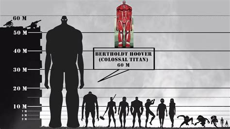 Attack On Titan Size Chart