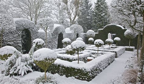 Winter Topiary Garden Covered In Snow Winter Garden Winter Scenery