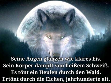 Telepolis hinterfragt die digitale gesellschaft und ihre entwicklung in politik, wirtschaft & medien. Inspiriert werden fur Wolf Zitate