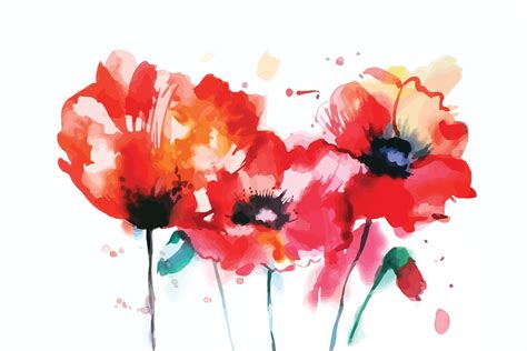 Watercolor Poppy Flower Custom Designed Illustrations ~ Creative Market