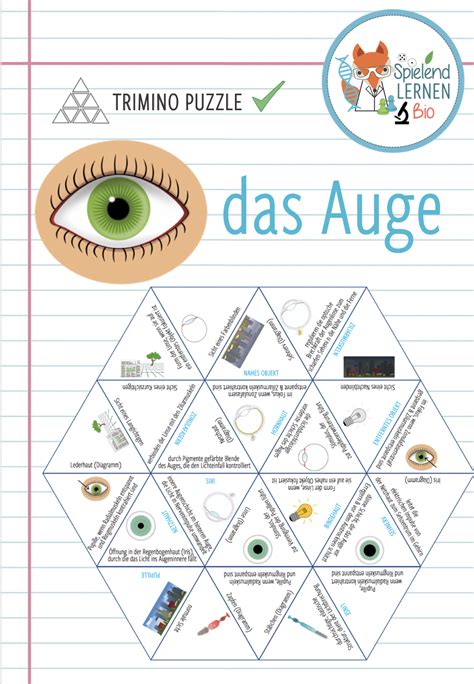 das Auge – Dreieck Domino Spiel – Unterrichtsmaterial im Fach Biologie