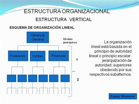 Estructura Organizacional Por Procesos Ventajas Y Desventajas