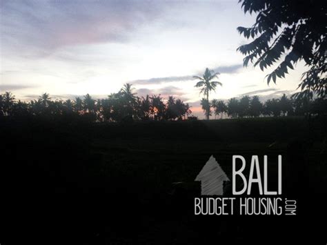 Lasan Mas Guesthouse for Rent in Ubud - Bali Long Term Rentals - houses