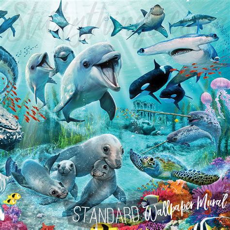 Under The Sea Wall Mural Underwater Killer Whale Dolphin Shark Mural