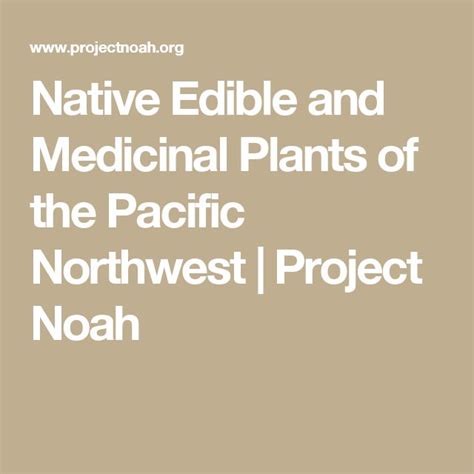 Native Edible And Medicinal Plants Of The Pacific Northwest Project