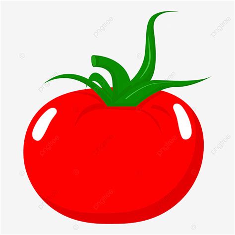 Tomate Png Dibujos Vegetal Tomate Png Rojo Icono De Tomate Png Png Y