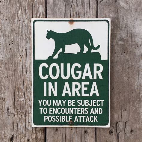 Handmade Vintage | Cougar In Area | Park Warning Sign - Vintage Sign ...