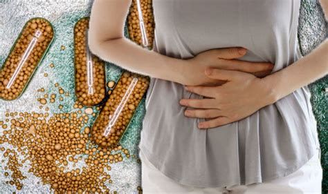 Guide To The Best Probiotics For Stomach Pain Kashaya Probiotics