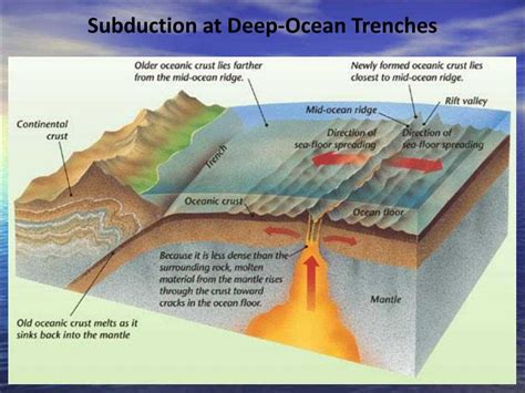 Exploring The Depths A Comprehensive Guide To Understanding Mid Ocean
