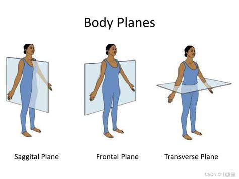 分清frontal Plane（额状面）、coronal Plane（冠状面）、transverse Plane（横断面）、sagittal