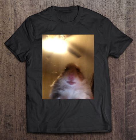 Hamster Staring At Camera Meme