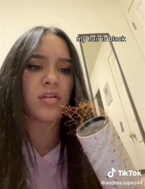 Tiktok Star Andrea Lopez Goes Viral After Using A Lint Roller To Catch