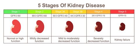 Ckd is a chronic condition. Chronic-Kidney-Disease-stages