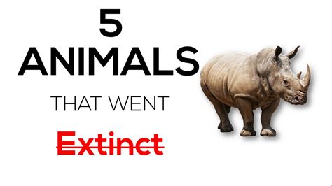 5 Animals That Went Extinct Youtube