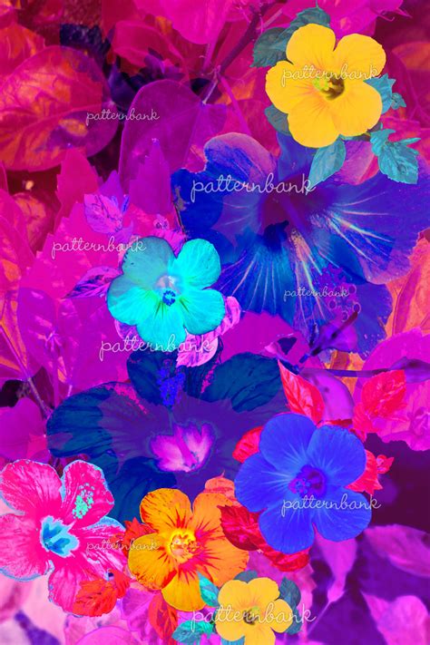 Get the best look for weddings, engagement parties, rehearsal dinners, and work. Tropical Flowers With Transparent Overlay by Wanderlust ...