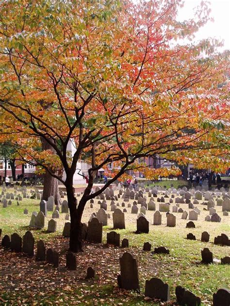 The Most Interesting Cemeteries To Visit In The United States