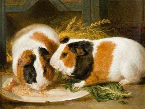 Double Portrait Of Henrietta Wards Pet Guinea Pig Art Uk